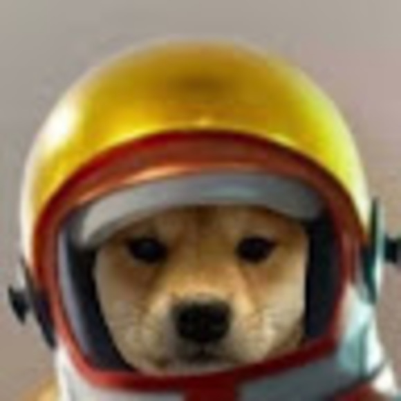 Meet your Posher, Anthony - Picture 1 of 1